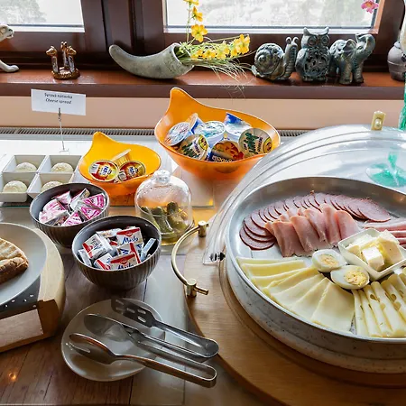 酒店 麦可斯英酒店 布拉迪斯拉发